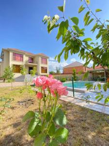 a plant with pink roses in front of a house at Villa in Gabala in Gabala