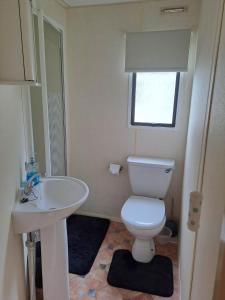 Un baño con un inodoro blanco y un lavabo. en Cosy Caravan at Blackmoor Farm, en Ludchurch