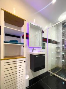 uma casa de banho com um lavatório e um chuveiro em La Maison Forestière em Niederbronn-les-Bains