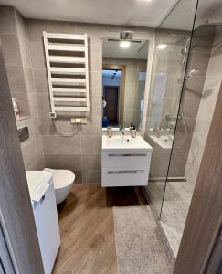 a bathroom with a toilet and a sink and a shower at Apartment in Birstonas in Birštonas