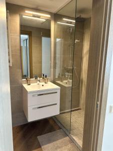 a bathroom with a sink and a glass shower at Apartment in Birstonas in Birštonas