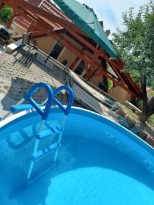 a blue ladder in a pool with an umbrella at Bé-La Vendégház in Szomolya