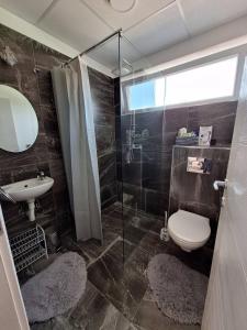 a bathroom with a toilet and a sink and a shower at Apartmani KOKI Kladovo in Kladovo