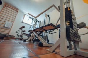 The fitness centre and/or fitness facilities at Residence Lagorai