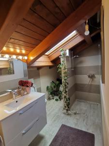 ein Bad mit einem Waschbecken und einer Dusche in der Unterkunft Apartment Harmony in Bale