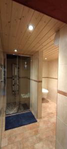 Ferienapartment am Rennsteig في لاوشا: حمام كبير مع دش وحوض استحمام