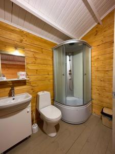 a bathroom with a shower and a toilet and a sink at Эко-комплекс More in Gudauta