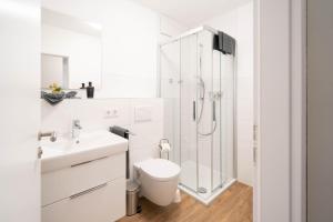 uma casa de banho com um chuveiro, um WC e um lavatório. em Aparthotel Tannenhof em Wittlich
