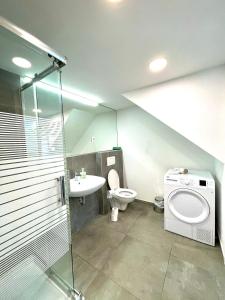 a bathroom with a toilet and a sink at KHAN Apartments LJUBLJANA in Ljubljana