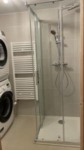 a shower in a bathroom with a washing machine at Chalet La Mahure in La Toussuire