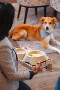 a woman holding a box of food with a dog at Abesq Doha Hotel and Residences in Doha