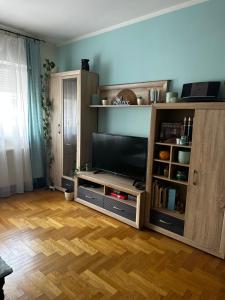 un salon avec une télévision dans un meuble en bois dans l'établissement Cosy apartment-private parking, à Zagreb