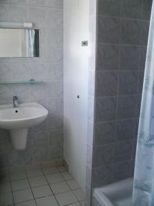 een badkamer met een wastafel, een toilet en een douche bij RÉF 323 LARMOR PLAGE 18 rue Beg Tal Men in Larmor-Plage