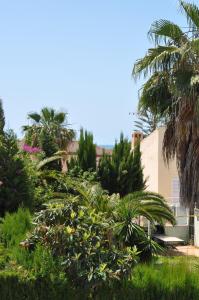 a garden with palm trees and a building at Casa Lea in Islantilla