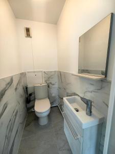 een badkamer met een toilet, een wastafel en een spiegel bij Spacieux 2 pièces proche plage in Antibes
