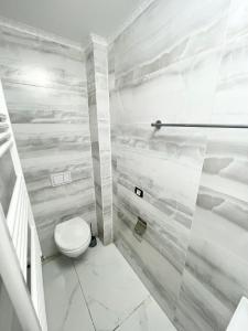 a bathroom with a toilet and a shower at Apollo 1 Apartment in Bucharest