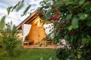 Zahrada ubytování Glamping Kolpa Resort