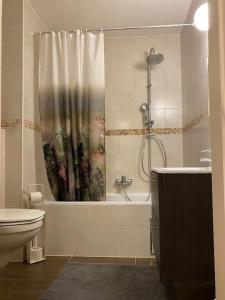 een badkamer met een douche, een toilet en een wastafel bij Avenue Louise in Brussel