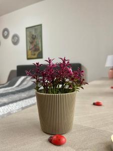 um vaso com flores roxas sentado numa mesa em Cozy apartment Ladybug, Sarajevo em Sarajevo
