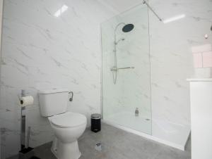 a white bathroom with a toilet and a shower at Casa das Vigas II in São Mamede de Infesta