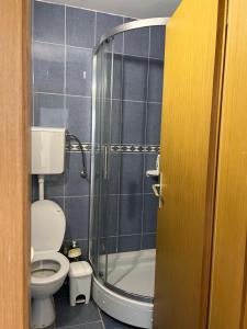 a bathroom with a toilet and a glass shower at Milinovic apartmani3 in Herceg-Novi