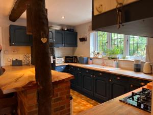 a kitchen with blue cabinets and a counter top at New Forest Spacious Family House in New Milton