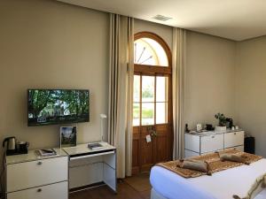 a bedroom with a bed and a television and a window at Hotel Château Des Alpilles in Saint-Rémy-de-Provence