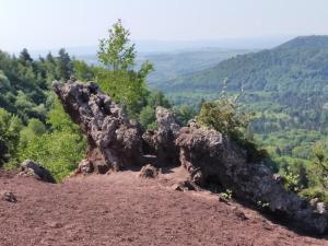 Fotografia z galérie ubytovania La Roucoule v destinácii Le Sapt