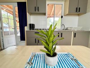 una pianta in vaso seduta su un tavolo in una cucina di Mobilehome Adams Glamping - Camp Adriatic a Primošten