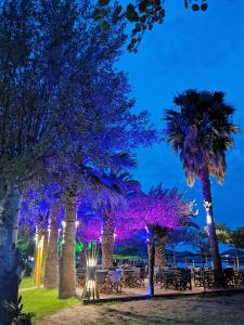 IRINI'S HOUSE في توروني: مجموعة من أشجار النخيل مع أضواء أرجوانية