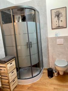 y baño con ducha de cristal y aseo. en Le Domaine de Darracq, en Arsagne