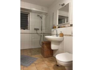 a bathroom with a toilet and a sink and a shower at SCHEPPEs AUSZEIT in Wenden