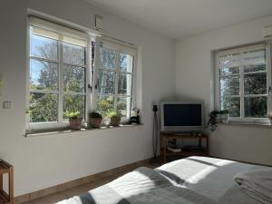 um quarto com janelas, uma cama e uma televisão em SCHEPPEs AUSZEIT em Wenden