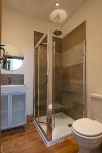 沃頓安德艾奇的住宿－Canons Court Lodge，带淋浴、卫生间和盥洗盆的浴室