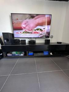 TV a/nebo společenská místnost v ubytování Olia apartment