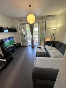 TV a/nebo společenská místnost v ubytování Olia apartment