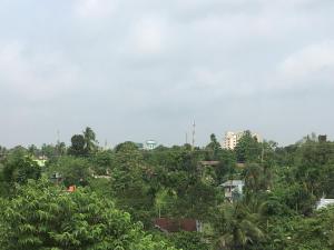 vistas a una selva con árboles y edificios en Vamoose S Das Homestay, en Agartala