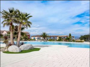 - une piscine bordée de 2 palmiers dans l'établissement Maison dans le domaine du golf, à Roquebrune-sur Argens