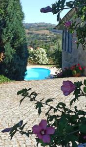 uitzicht op een zwembad met paarse bloemen bij Cosy apartment at Portuguese Quinta in Casal Diz