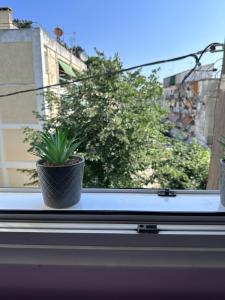 Balkón nebo terasa v ubytování Olia apartment