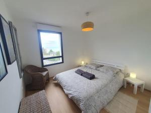 1 dormitorio con 1 cama, 1 silla y 1 ventana en Superbe appartement Evian, en Évian-les-Bains
