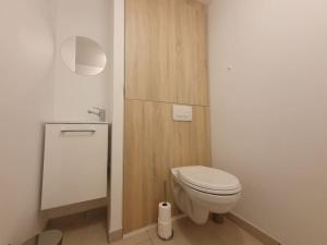 a bathroom with a white toilet and a sink at Superbe appartement Evian in Évian-les-Bains +7 photos