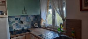 Kuchyň nebo kuchyňský kout v ubytování Villa Ivan + 37 fotografií