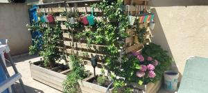 Vonkajšia záhrada v ubytovaní Studio pour location vacances a la semaine AVIGNON