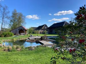 a house with a pond in front of it at Blokhut in Ruinerwold
