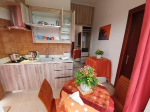 Kuchyň nebo kuchyňský kout v ubytování Pettas Apartments