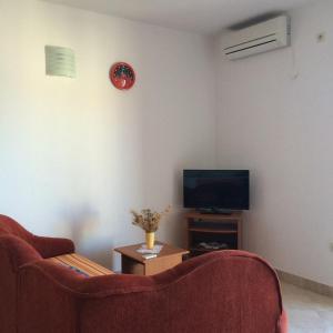 TV a/nebo společenská místnost v ubytování Apartments Pisac