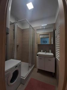 a bathroom with a shower sink and a washing machine at Silver Side Apartments in Siófok