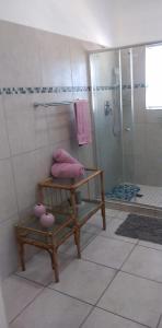 La salle de bains est pourvue d'une douche et de serviettes roses sur une étagère. dans l'établissement The Tides Holiday Home, à St Helena Bay