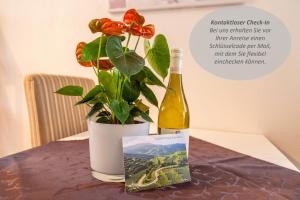 una botella de vino y una maceta en una mesa en Braviscasa - Ferienresidenz Badnerstrasse Endingen, en Endingen am Kaiserstuhl